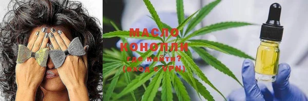 шишки Абаза