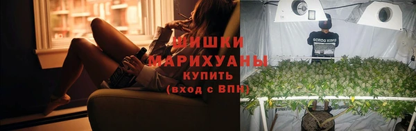 шишки Абаза