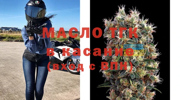 шишки Абаза