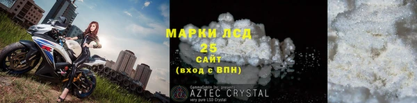 шишки Абаза