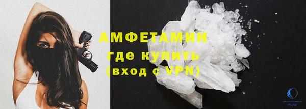 шишки Абаза
