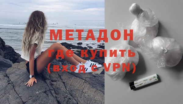 шишки Абаза