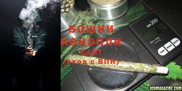 шишки Абаза