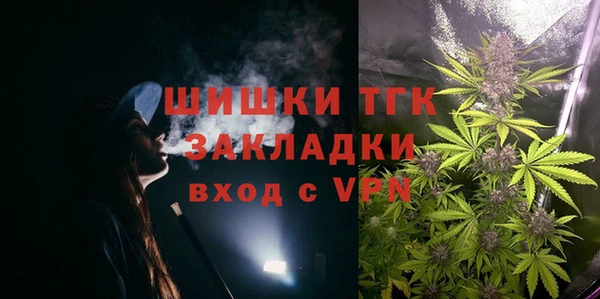 шишки Абаза