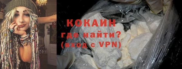 шишки Абаза