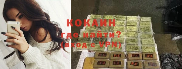 шишки Абаза