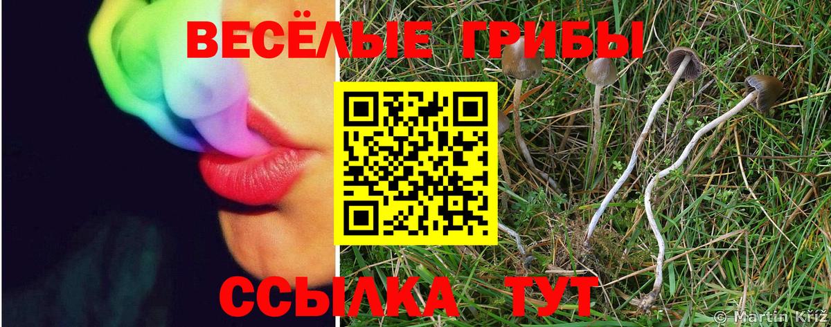 Псилоцибиновые грибы MAGIC MUSHROOMS  Псилоцибиновые грибы мицелий  Вход с VPN  Тольятти 